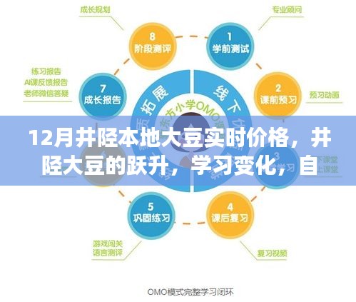 井陘大豆躍升，把握12月新機(jī)遇，實(shí)時價格與學(xué)習(xí)變化展現(xiàn)自信閃耀