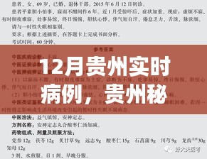 貴州秘境探秘，自然療愈與尋找內(nèi)心寧靜之旅——實時病例追蹤報道