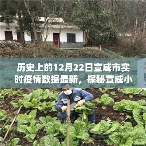 宣威市實(shí)時(shí)疫情數(shù)據(jù)更新，十二月二十二日特色環(huán)境之旅與小店的探秘之旅