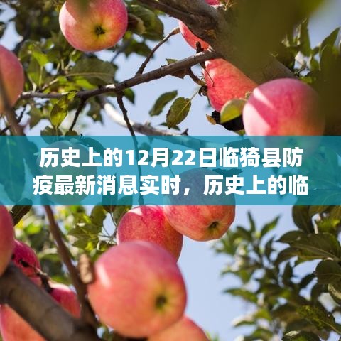 透過實時消息看臨猗縣防疫之路，歷史進展與最新動態(tài)
