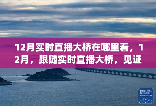 七貴三公 第2頁(yè)