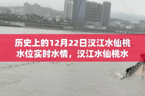 漢江水仙桃水位揭秘，探尋歷史特殊水情，實(shí)時掌握12月22日水位動態(tài)