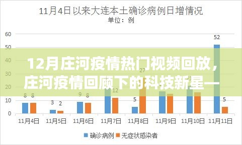 莊河疫情回顧，智能回放系統(tǒng)重塑生活體驗，熱門視頻回放揭示科技新星的力量