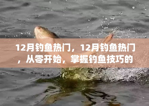 從零開始掌握釣魚技巧，12月釣魚熱門全攻略