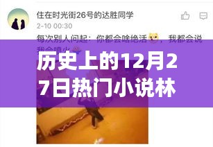 歷史上的12月27日，林天宇與寧麗霞的熱門小說之旅