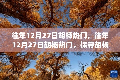 探尋胡楊魅力與熱門事件背后的故事，歷年12月27日胡楊之旅的熱門揭秘