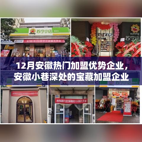安徽特色加盟企業(yè)探尋，寶藏小店的無限魅力與獨特優(yōu)勢