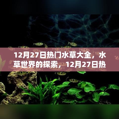 戰(zhàn)天斗地 第3頁