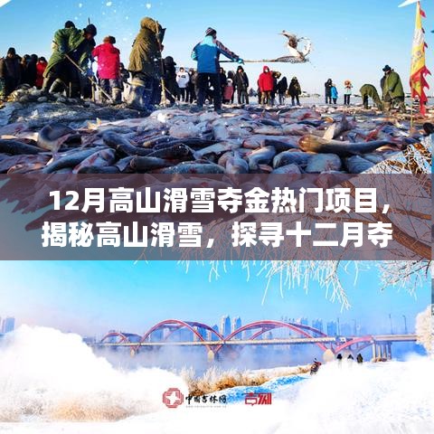 揭秘高山滑雪，十二月奪金熱門(mén)項(xiàng)目的魅力與要點(diǎn)解析