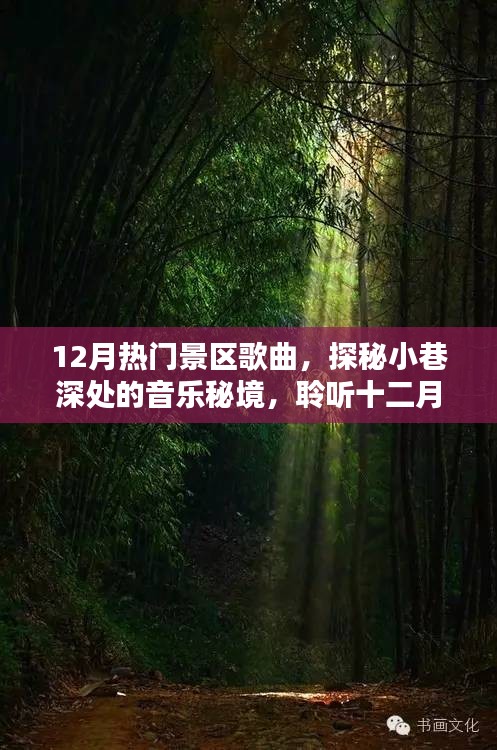 探秘十二月熱門景區(qū)音樂秘境，小巷深處的歌曲精選