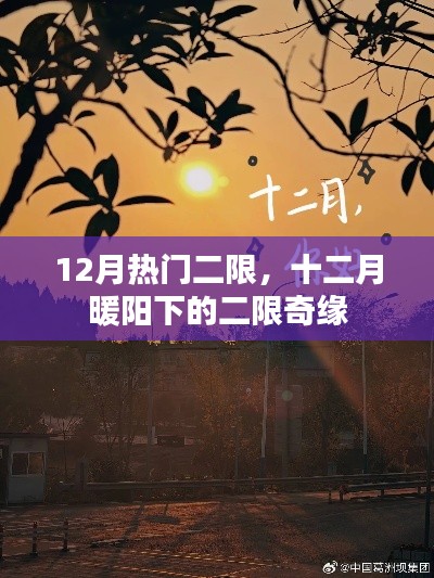 十二月暖陽下的二限奇緣，12月熱門二次限定活動盤點