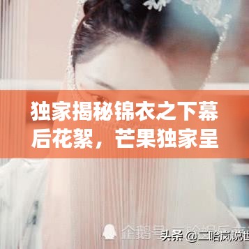 獨家揭秘錦衣之下幕后花絮，芒果獨家呈現(xiàn)，探尋神秘面紗！