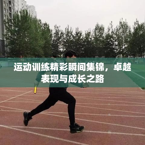 運動訓(xùn)練精彩瞬間集錦，卓越表現(xiàn)與成長之路