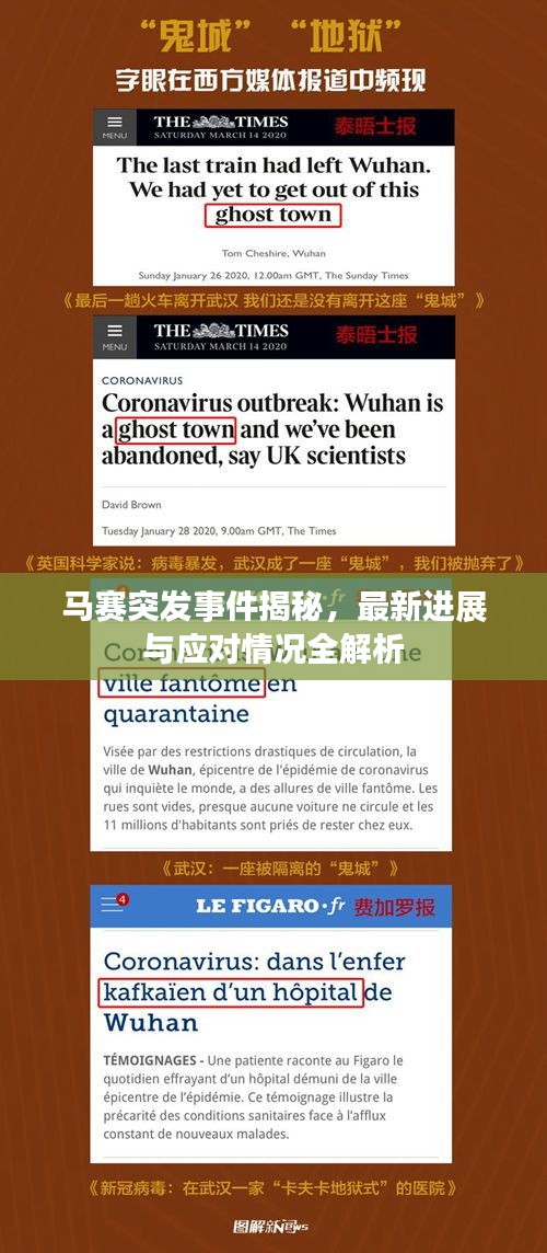 馬賽突發(fā)事件揭秘，最新進(jìn)展與應(yīng)對(duì)情況全解析