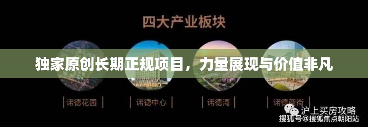 獨(dú)家原創(chuàng)長(zhǎng)期正規(guī)項(xiàng)目，力量展現(xiàn)與價(jià)值非凡