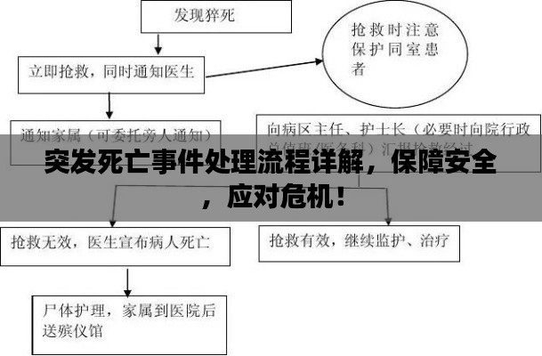 突發(fā)死亡事件處理流程詳解，保障安全，應(yīng)對危機(jī)！