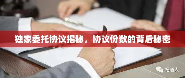 獨(dú)家委托協(xié)議揭秘，協(xié)議份數(shù)的背后秘密
