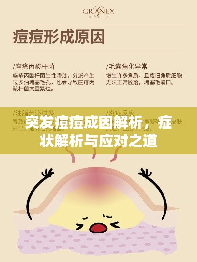 突發(fā)痘痘成因解析，癥狀解析與應(yīng)對之道