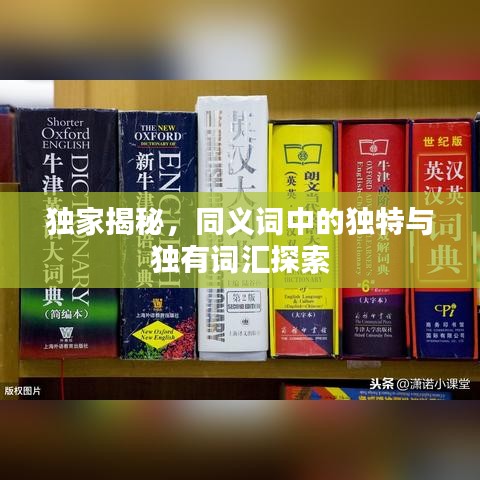 獨家揭秘，同義詞中的獨特與獨有詞匯探索