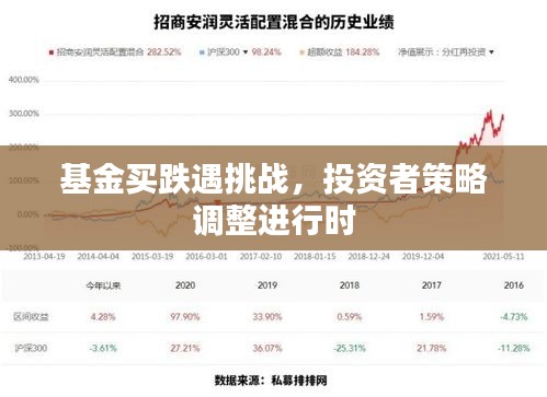 基金買跌遇挑戰(zhàn)，投資者策略調(diào)整進行時