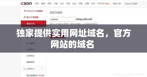 獨(dú)家提供實(shí)用網(wǎng)址域名，官方網(wǎng)站的域名 