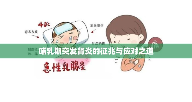 哺乳期突發(fā)腎炎的征兆與應對之道