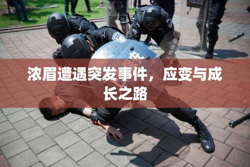濃眉遭遇突發(fā)事件，應(yīng)變與成長之路