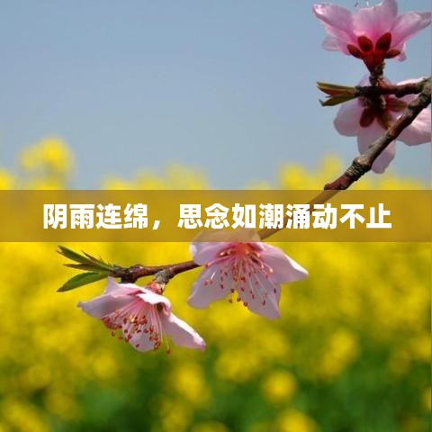 陰雨連綿，思念如潮涌動不止