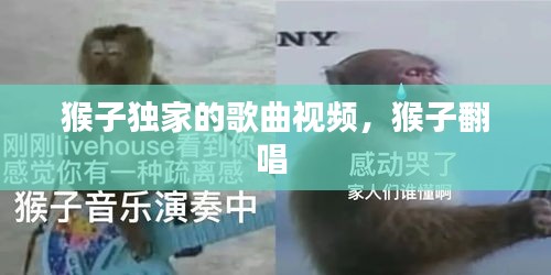 猴子獨家的歌曲視頻，猴子翻唱 