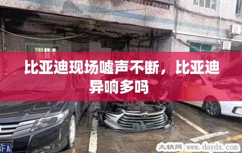 比亞迪現(xiàn)場(chǎng)噓聲不斷，比亞迪異響多嗎 