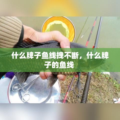 什么牌子魚線拽不斷，什么牌子的魚線 