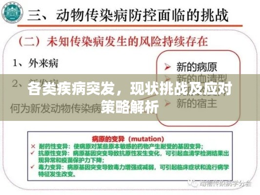 各類疾病突發(fā)，現(xiàn)狀挑戰(zhàn)及應(yīng)對策略解析