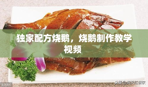 獨(dú)家配方燒鵝，燒鵝制作教學(xué)視頻 