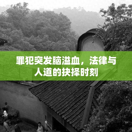 罪犯突發(fā)腦溢血，法律與人道的抉擇時刻