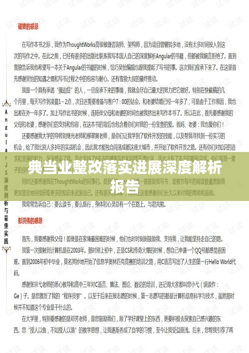 典當(dāng)業(yè)整改落實(shí)進(jìn)展深度解析報告