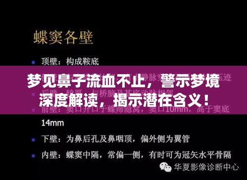 標(biāo)新豎異 第2頁(yè)