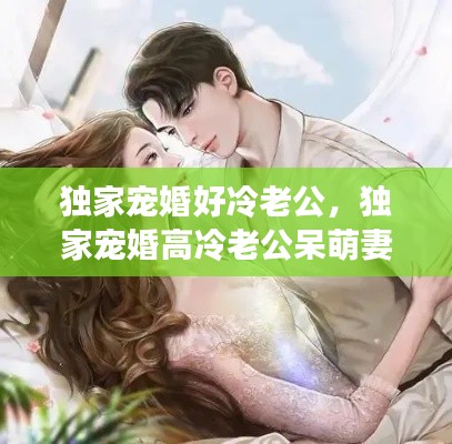 獨(dú)家寵婚好冷老公，獨(dú)家寵婚高冷老公呆萌妻 