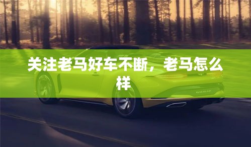 關(guān)注老馬好車不斷，老馬怎么樣 