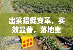 出實(shí)招促變革，實(shí)效顯著，落地生根