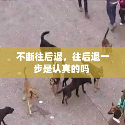 不斷往后退，往后退一步是認(rèn)真的嗎 