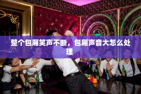 整個包廂笑聲不斷，包廂聲音大怎么處理 