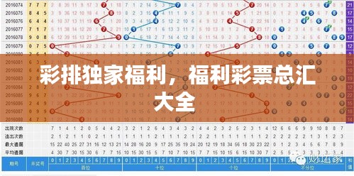 彩排獨(dú)家福利，福利彩票總匯大全 