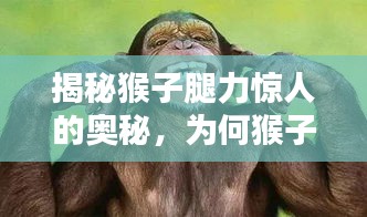 花香鳥語 第2頁