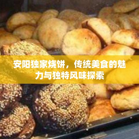 安陽獨家燒餅，傳統(tǒng)美食的魅力與獨特風味探索
