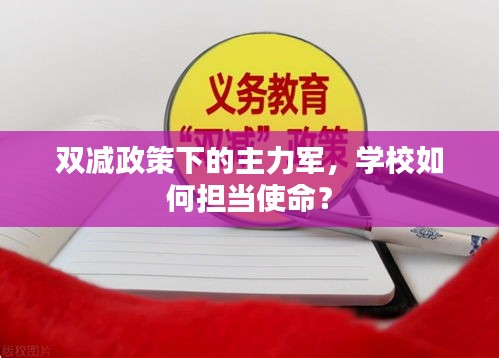 雙減政策下的主力軍，學(xué)校如何擔(dān)當(dāng)使命？