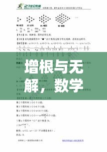 增根與無解，數(shù)學(xué)專題的深度探究