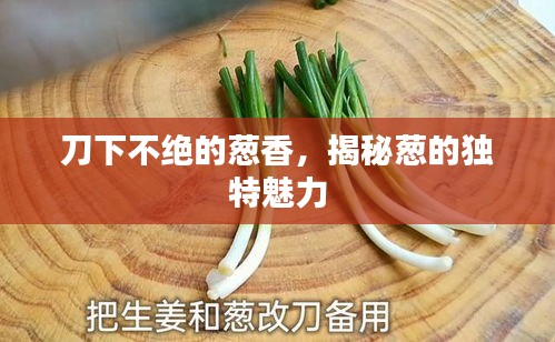 刀下不絕的蔥香，揭秘蔥的獨特魅力