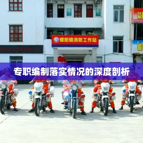專職編制落實(shí)情況的深度剖析