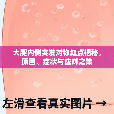 吉光片羽 第2頁