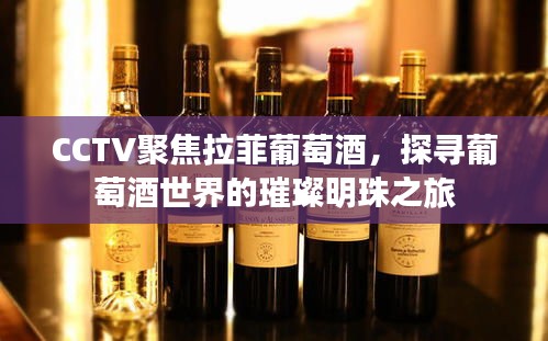 CCTV聚焦拉菲葡萄酒，探尋葡萄酒世界的璀璨明珠之旅